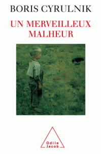 Un Merveilleux Malheur